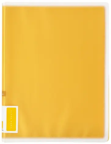 Папка А4, 10 файлов, Coloree, оранжевый (RA-V10YR) обложка книги