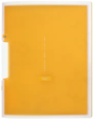 Папка с клипом А4 Coloree оранжевый (F-VFH100YR) обложка книги