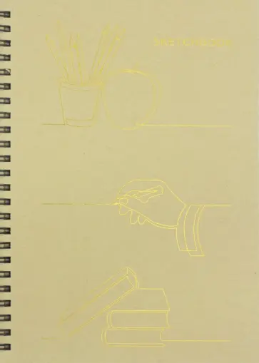 Скетчбук 80 листов, А5, евроспираль "Линии" (СКСФ5804628) обложка книги