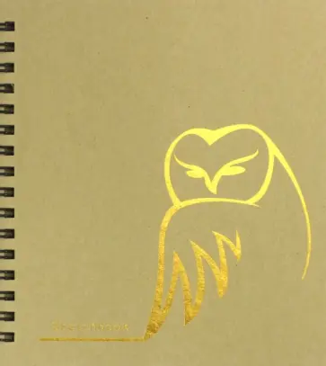 Скетчбук "Филин" (80 листов, А6-, евроспираль) (СКСФ6804621) обложка книги