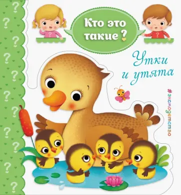 Утки и утята обложка книги