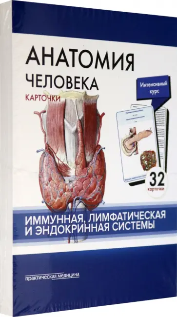 Сапин, Николенко - Анатомия человека. Иммунная, лимфатическая и эндокринная системы. 32 карточки обложка книги