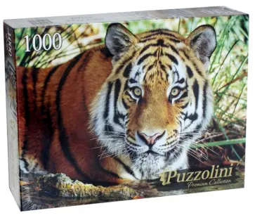 Puzzle-1000 "Амурский тигр" (GIPZ1000-7707) обложка книги