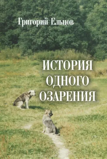 Григорий Ельцов - История одного озарения обложка книги
