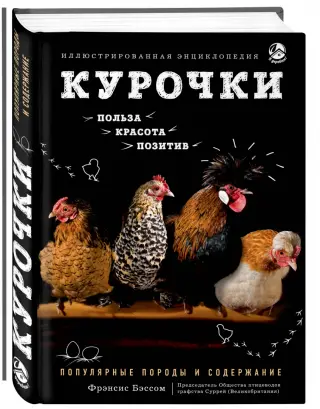 Идея бизнеса: как открыть бизнес по разведению кур бройлеров и несушек