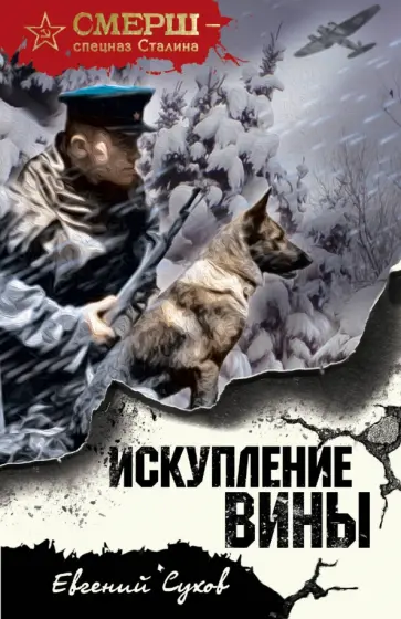 Евгений Сухов - Искупление вины Евгений Сухов - Искупление вины обложка книги