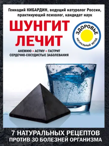 Геннадий Кибардин - Шунгит лечит Геннадий Кибардин - Шунгит лечит обложка книги