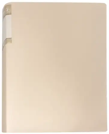 Папка "Gems" (20 вкладышей, А4) (GEM20CREAM) обложка книги