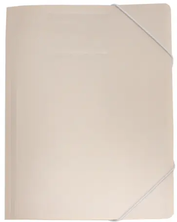 Папка "Gems" (А4, на резинке) (GEMPR05CREAM) Папка "Gems" (А4, на резинке) (GEMPR05CREAM) обложка книги
