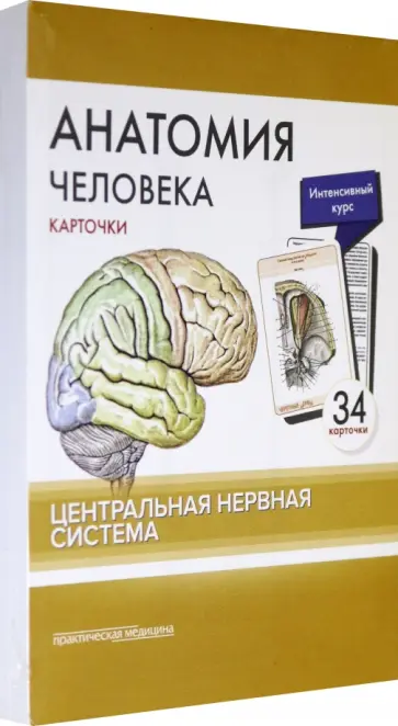 Сапин, Николенко - Анатомия человека. Центральная нервная система. Карточки (34 шт) Сапин, Николенко - Анатомия человека. Центральная нервная система. Карточки (34 шт) обложка книги