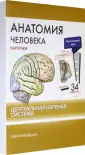 Тимофеева М. О.