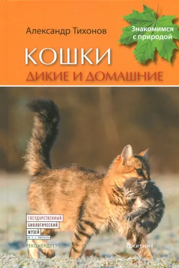 Александр Тихонов - Кошки дикие и домашние обложка книги