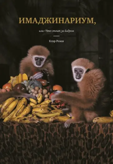 Клэр Розен - Имаджинариум, или Что стоит за кадром Клэр Розен - Имаджинариум, или Что стоит за кадром обложка книги