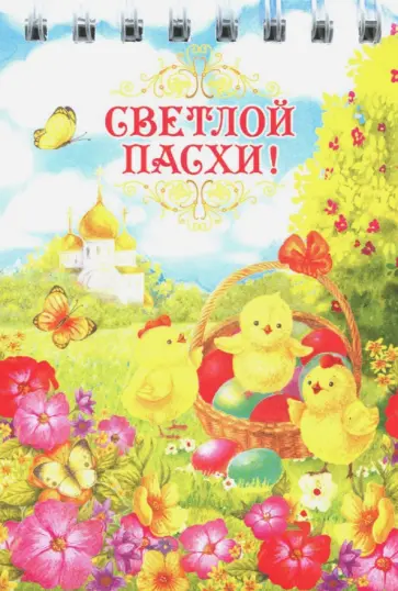 Блокнот "3 цыпленка" (нелинованный, 30 листов, спираль) обложка книги