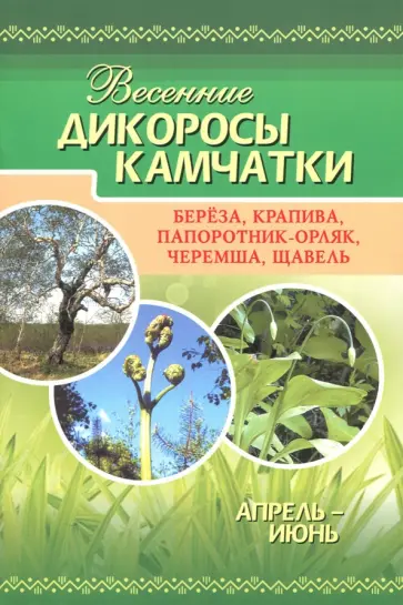 Весенние дикоросы Камчатки обложка книги