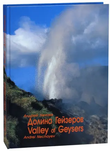 Андрей Нечаев - Долина гейзеров обложка книги