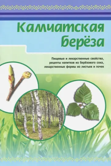 Камчатская береза обложка книги