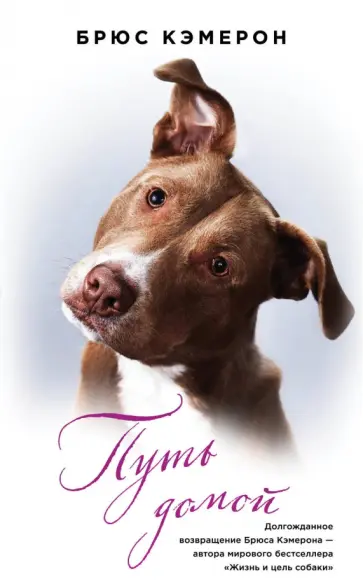 Брюс Кэмерон - Путь домой обложка книги