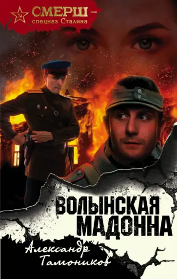 Александр Тамоников - Волынская мадонна обложка книги