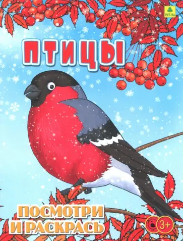 Птицы. Детская раскраска обложка книги