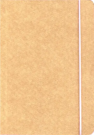 Книга для записи "Крафт" (нелинованная, 240 страниц, на резинке) (26283) обложка книги