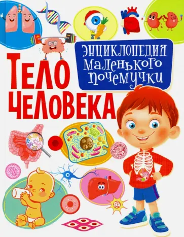 Елена Кулакова - Тело человека. Энциклопедия маленького почемучки обложка книги