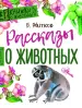 Миниатюра 2