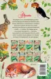 Миниатюра 2