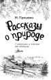 Миниатюра 3