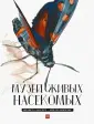 Лассерр Франсуа