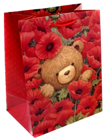 Пакет подарочный ламинированный (180х227х100 мм) (M 2235) обложка книги