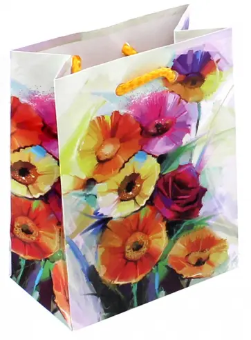 Пакет подарочный ламинированный (110х137х60 мм) (S 1108) обложка книги