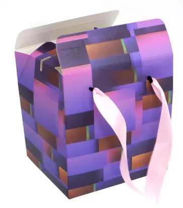 Коробка подарочная складная, (12х9х13 см) (00-00022361) обложка книги