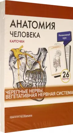 Сапин, Николенко - Анатомия человека.Черепные нервы. Карточки (26 шт) обложка книги