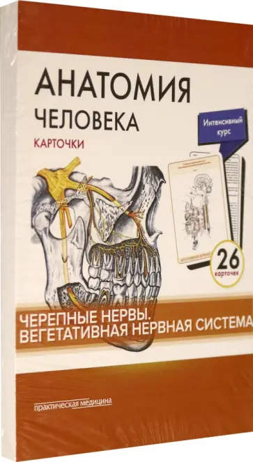 Сапин, Николенко - Анатомия человека.Черепные нервы. Карточки (26 шт) Сапин, Николенко - Анатомия человека.Черепные нервы. Карточки (26 шт) обложка книги