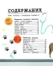 Миниатюра 5