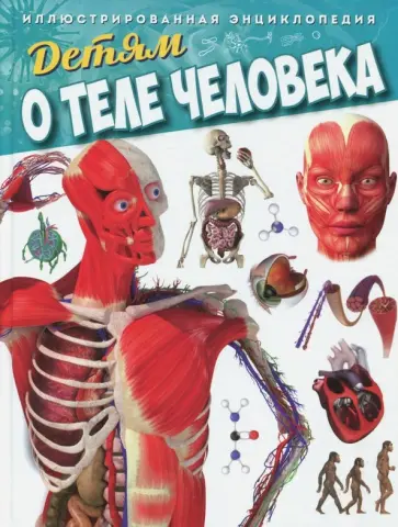 Детям о теле человека. Иллюстрированная энциклопедия Детям о теле человека. Иллюстрированная энциклопедия обложка книги