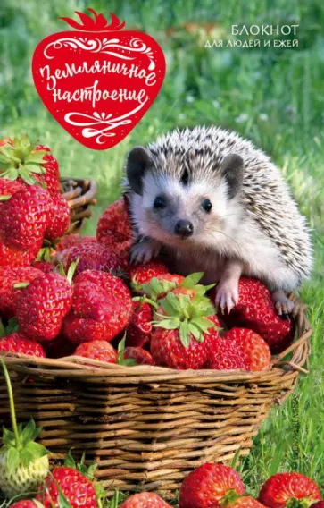 Земляничное настроение. Блокнот для людей и ежей обложка книги