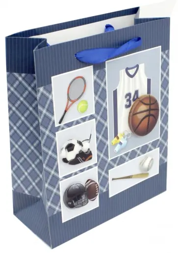 Пакет подарочный бумажный "Спорт" (20х25х9 см) (M-8064) обложка книги