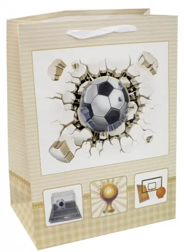 Пакет подарочный бумажный "Спорт" (40х30х11см)  (M-8066) обложка книги