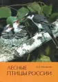 Михайлов Константин Евгеньевич