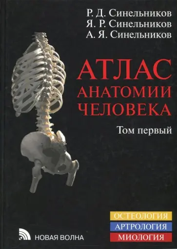 Синельников, Синельников - Атлас анатомии человека. В 4-х томах. Том 1. Учение о костях, соединениях костей и мышцах Синельников, Синельников - Атлас анатомии человека. В 4-х томах. Том 1. Учение о костях, соединениях костей и мышцах обложка книги