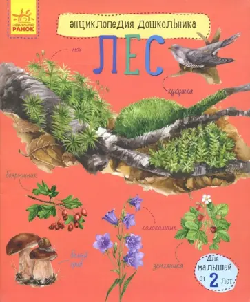 Юлия Каспарова - Лес обложка книги