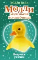 Миниатюра 1