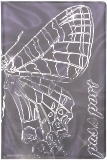 Обложка для паспорта "Серебряная бабочка" (038004обл001) обложка книги