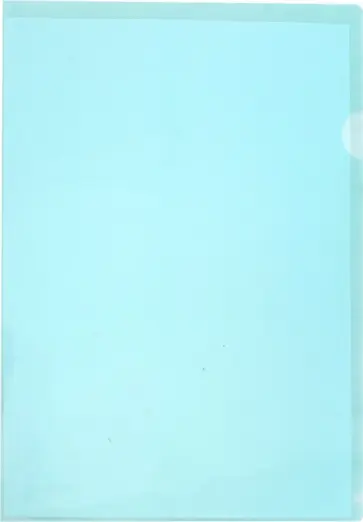Папка-уголок, ассортимент (E310) Папка-уголок, ассортимент (E310) обложка книги