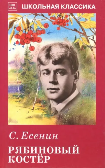 Сергей Есенин - Рябиновый костер обложка книги