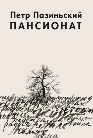 Петр Пазиньский - Пансионат Петр Пазиньский - Пансионат обложка книги