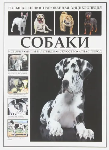 Собаки. Большая иллюстрированная энциклопедия обложка книги