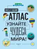 Миниатюра 4